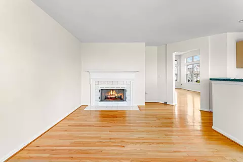 Living - 21340 W Sycamore Dr, Plainfield, IL 60544 photo 4 of 4