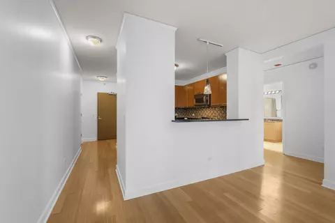 450 E Waterside Dr #1706, Chicago, IL 60601 photo 25