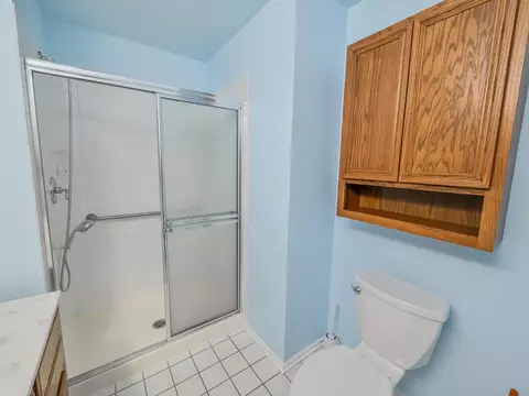 Bath - 1644 Cayman Ct #1, Bartlett, IL 60103 photo 3 of 4