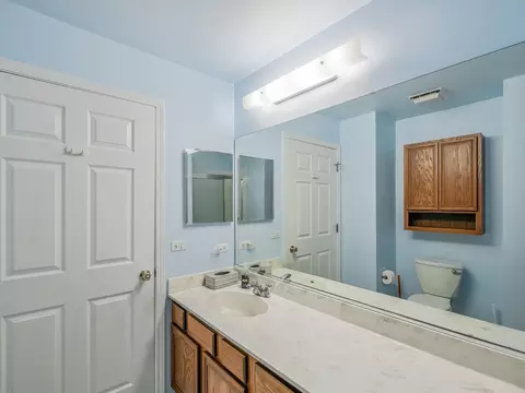 Bath - 1644 Cayman Ct #1, Bartlett, IL 60103 photo 4 of 4