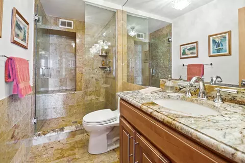 Bath - 200 E Delaware Pl #31A, Chicago, IL 60611 photo 4 of 4
