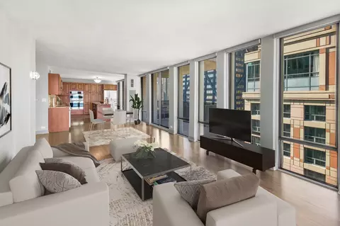 Living - 200 E Delaware Pl #31A, Chicago, IL 60611 photo 2 of 4