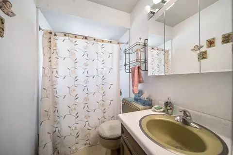 Bath - 447 Ridge Ct, Roselle, IL 60172 photo 2 of 2