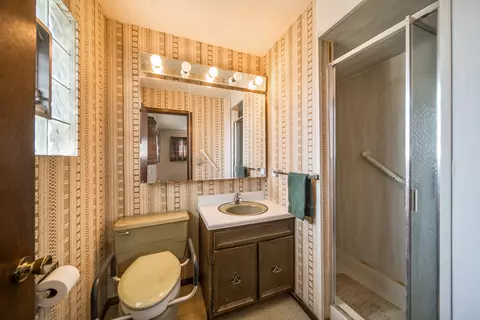 Bath - 447 Ridge Ct, Roselle, IL 60172 photo 1 of 2