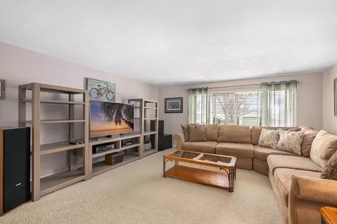 Living - 229 E Division St, Lockport, IL 60441 photo 1 of 1