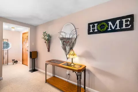 Entry Way - 229 E Division St, Lockport, IL 60441 photo 2 of 2