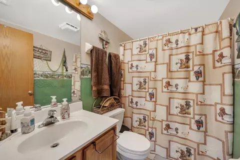 Bath - 2225 Willow Lakes Dr, Plainfield, IL 60586 photo 3 of 3