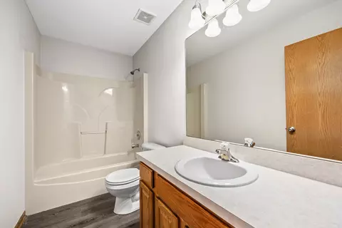 Bath - 25210 S Plainview Dr, Channahon, IL 60410 photo 2 of 3