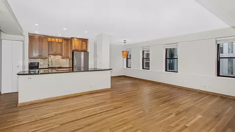 Other - 40 E 9th St #602, Chicago, IL 60605 photo 3 of 7