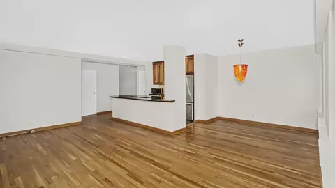 Living - 40 E 9th St #602, Chicago, IL 60605 photo 5 of 5