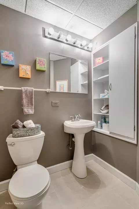 Bath - 21546 W Empress Ln, Plainfield, IL 60544 photo 3 of 4