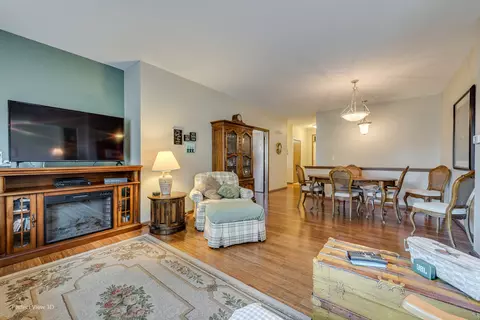 Living - 21546 W Empress Ln, Plainfield, IL 60544 photo 2 of 3