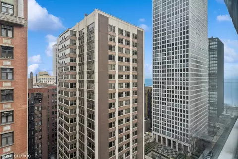 View/Area - 850 N Dewitt Pl #16G, Chicago, IL 60611 photo 2 of 2