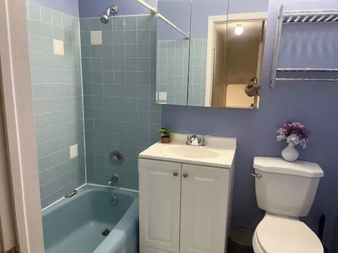 Bath - 3045 Central Rd, Glenview, IL 60025 photo 2 of 3