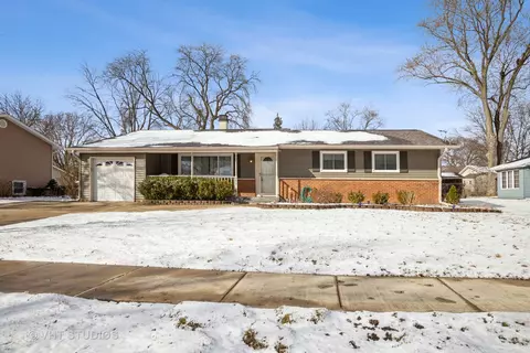 262 N Babcock Dr, Palatine, IL 60074