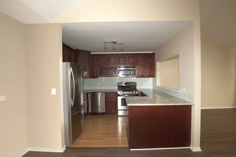 1045 Spring Mill Dr, Hoffman Estates, IL 60169 photo 5