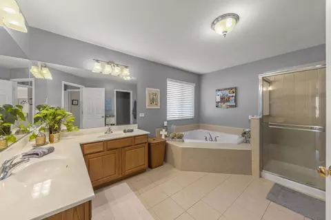Bath - 25132 Constitution Ct, Plainfield, IL 60544 photo 2 of 4