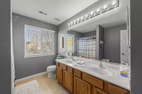 Bath - 25132 Constitution Ct, Plainfield, IL 60544 photo 4 of 4