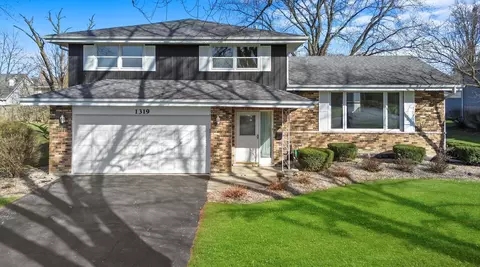 1319 Douglas Ln, Crete, IL 60417