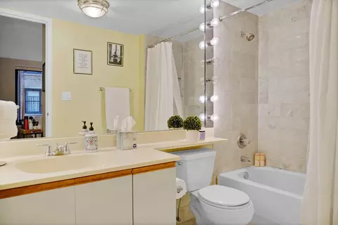 40 E Delaware Pl #1104, Chicago, IL 60611 photo 4