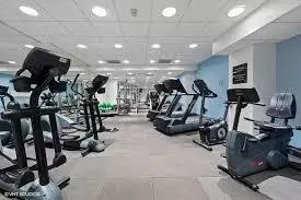40 E Delaware Pl #1104, Chicago, IL 60611 photo 7