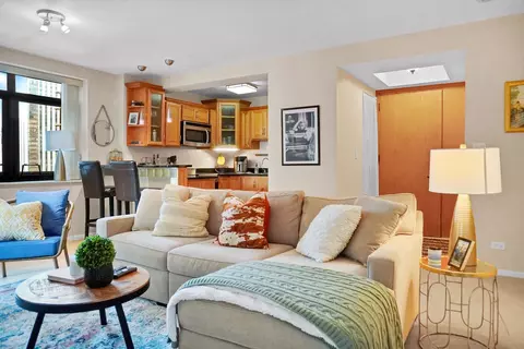40 E Delaware Pl #1104, Chicago, IL 60611 photo 2