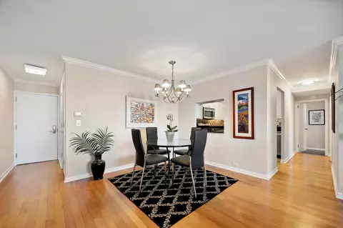 40 E Cedar St #18D, Chicago, IL 60611 photo 8