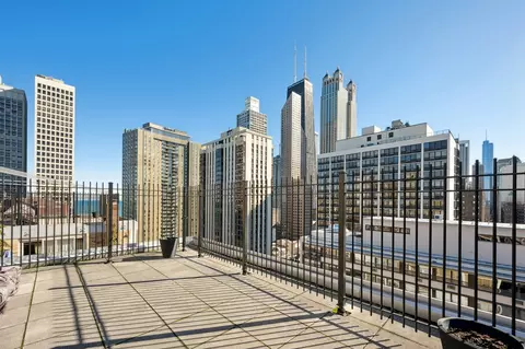 40 E Cedar St #18D, Chicago, IL 60611 photo 16