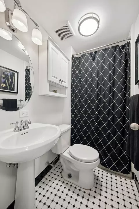 40 E Cedar St #18D, Chicago, IL 60611 photo 12