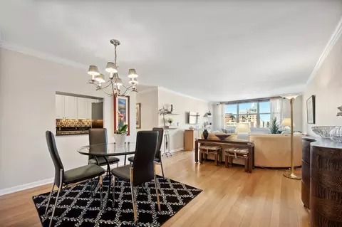 40 E Cedar St #18D, Chicago, IL 60611 photo 5