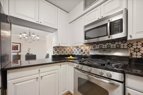 40 E Cedar St #18D, Chicago, IL 60611 photo 7