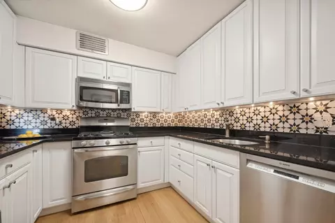 40 E Cedar St #18D, Chicago, IL 60611 photo 6