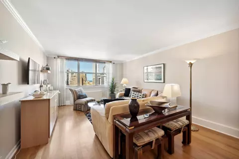 40 E Cedar St #18D, Chicago, IL 60611 photo 3