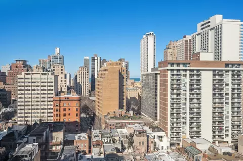 40 E Cedar St #18D, Chicago, IL 60611 photo 15