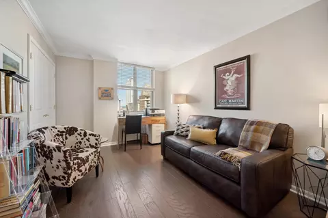 40 E Cedar St #18D, Chicago, IL 60611 photo 11