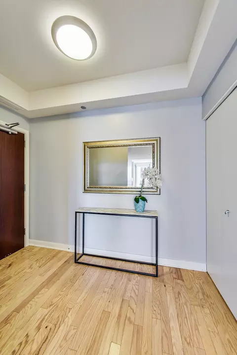 Entry Way - 60 E Monroe St #3803, Chicago, IL 60603 photo 3 of 3