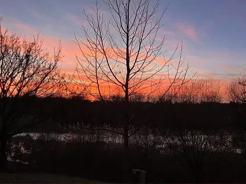 3017 Talaga Dr, Algonquin, IL 60102 photo 22