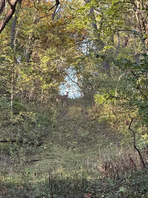 00 River Rd, Oregon, IL 61061 photo 7