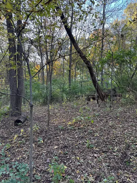 00 River Rd, Oregon, IL 61061 photo 9
