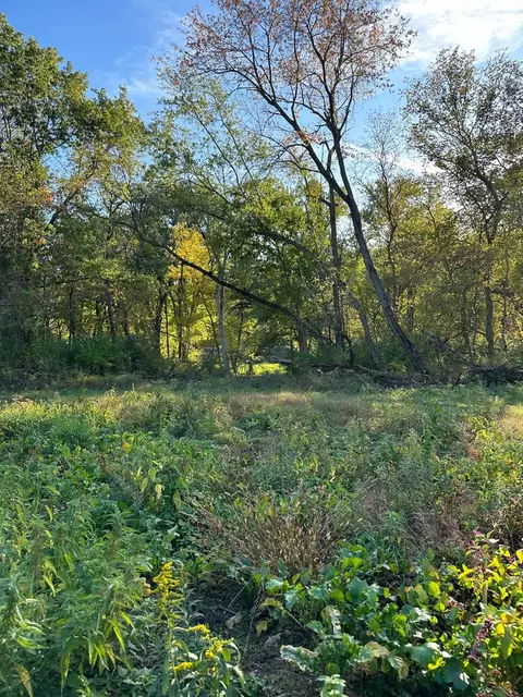 00 River Rd, Oregon, IL 61061 photo 13