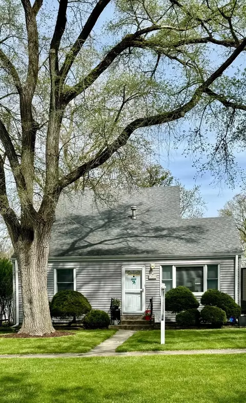 Exterior - 3821 Morgan St, Steger, IL 60475 photo 3 of 9
