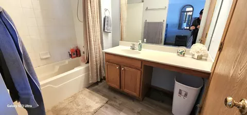 Bath - 2425 Cactus Ct, Plainfield, IL 60586 photo 4 of 6