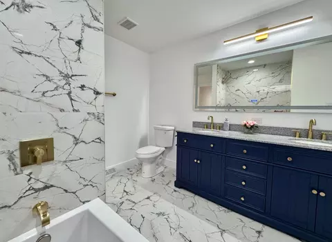 Bath - 18830 Ruth Dr, Mokena, IL 60448 photo 1 of 8