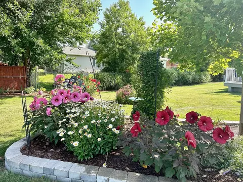 Exterior - 116 Sandra Ct, Normal, IL 61761 photo 12 of 17