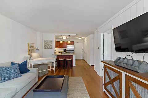 Living - 222 E Pearson St #1003, Chicago, IL 60611 photo 2 of 4
