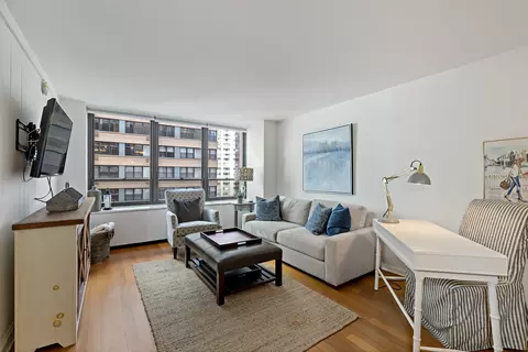 Living - 222 E Pearson St #1003, Chicago, IL 60611 photo 1 of 4
