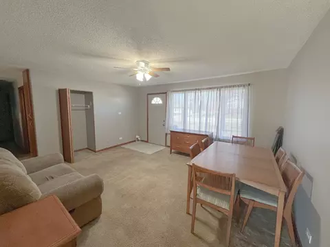 9519 Elm Ave, Mokena, IL 60448 photo 3