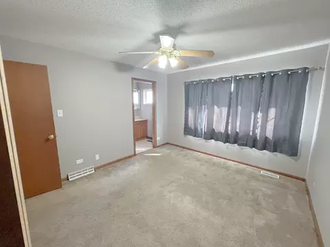9519 Elm Ave, Mokena, IL 60448 photo 8