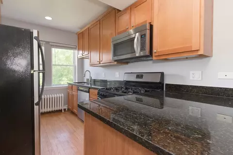 54 Forest Ave #3W, Riverside, IL 60546 photo 4