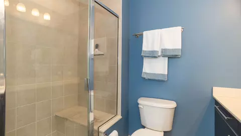Bath - 225 S Sangamon St #911, Chicago, IL 60607 photo 2 of 3